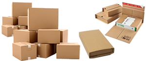 Dwarka excelexlogistics Courier